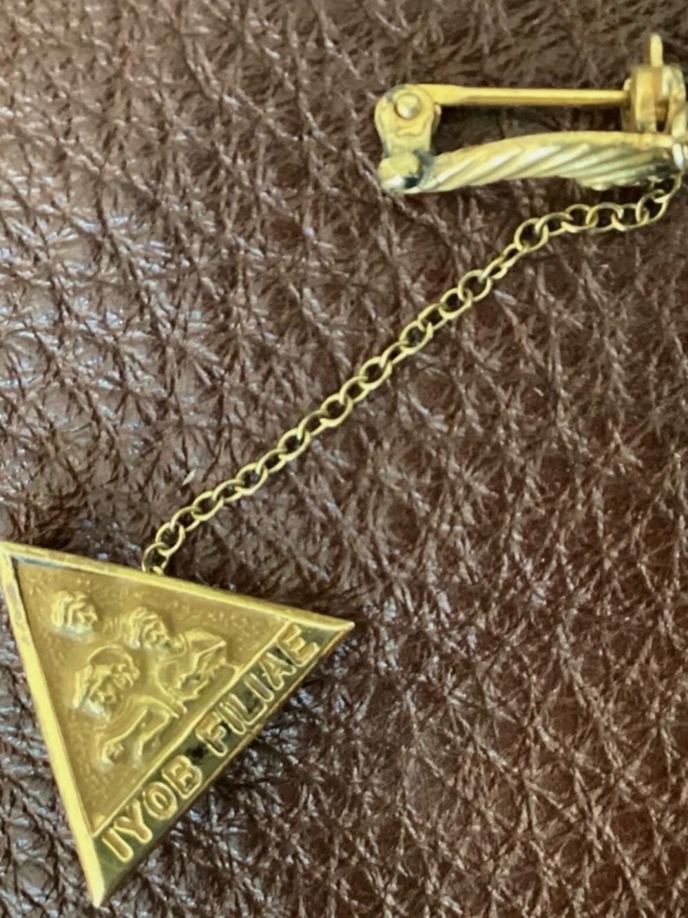 Vintage IYOB Filiae Job's Daughter Gold Pin with Cornucopia